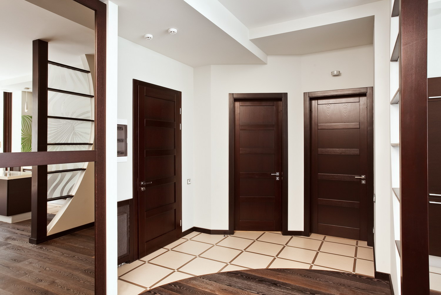 Качественная дверь в квартиру. Интерьер квартиры с коричневыми дверями. Дверь коричневая. Разные двери в интерьере квартиры. Межкомнатные двери в коридоре.