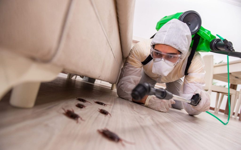 как избавиться от насекомых в доме или квартире
