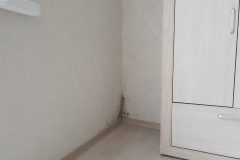 Плесень вернулась после ремонта: причины и решение
